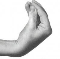 hand gestures  Orvieto or Bust